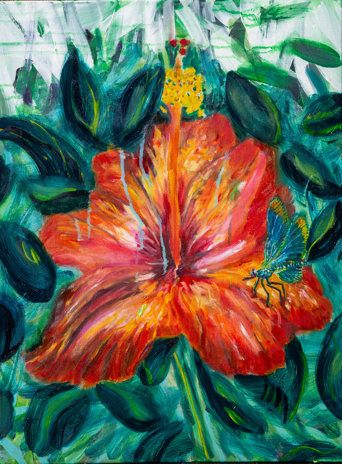 Hibiscus Serenade