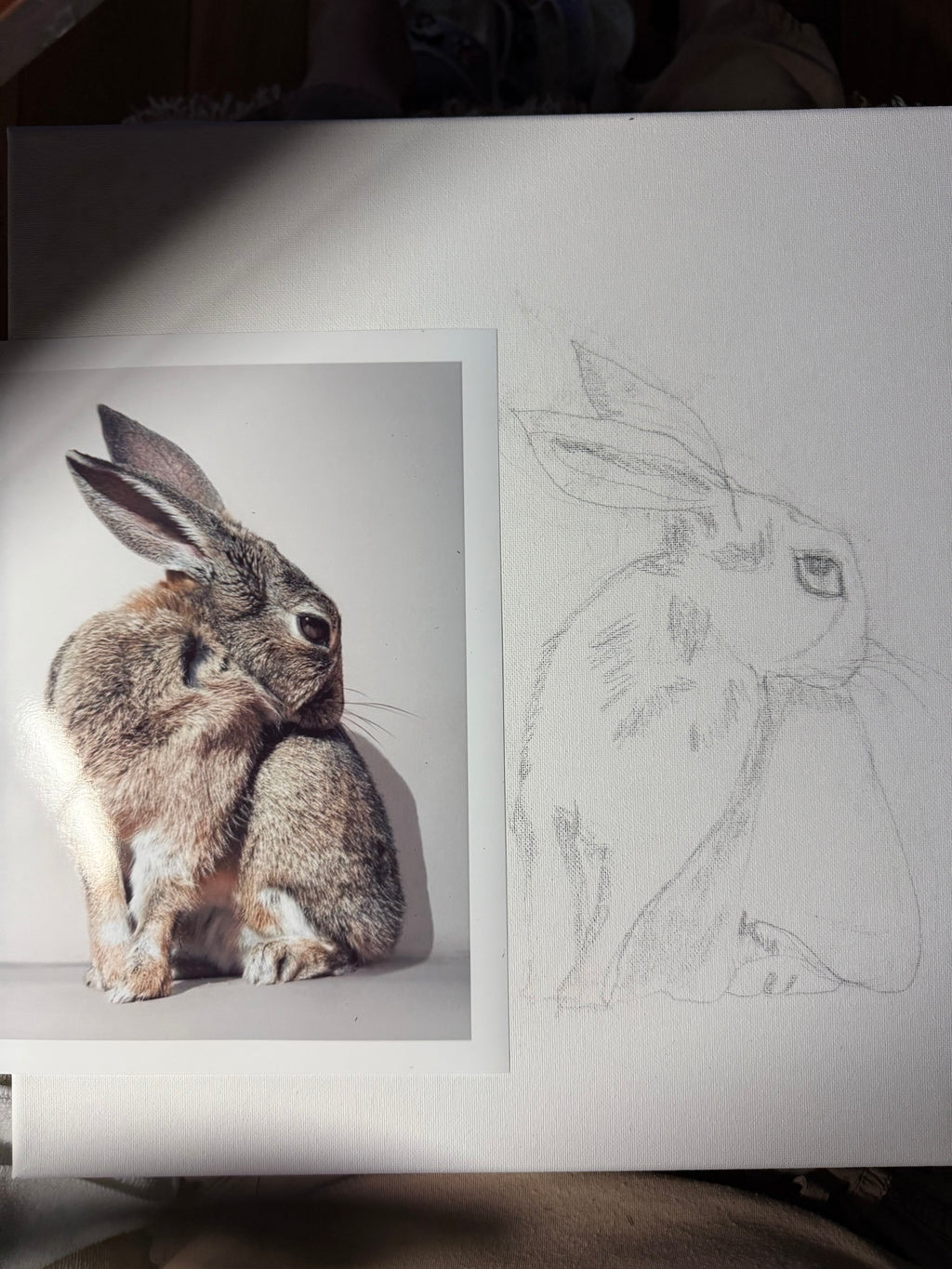 The Dreaming Hare
