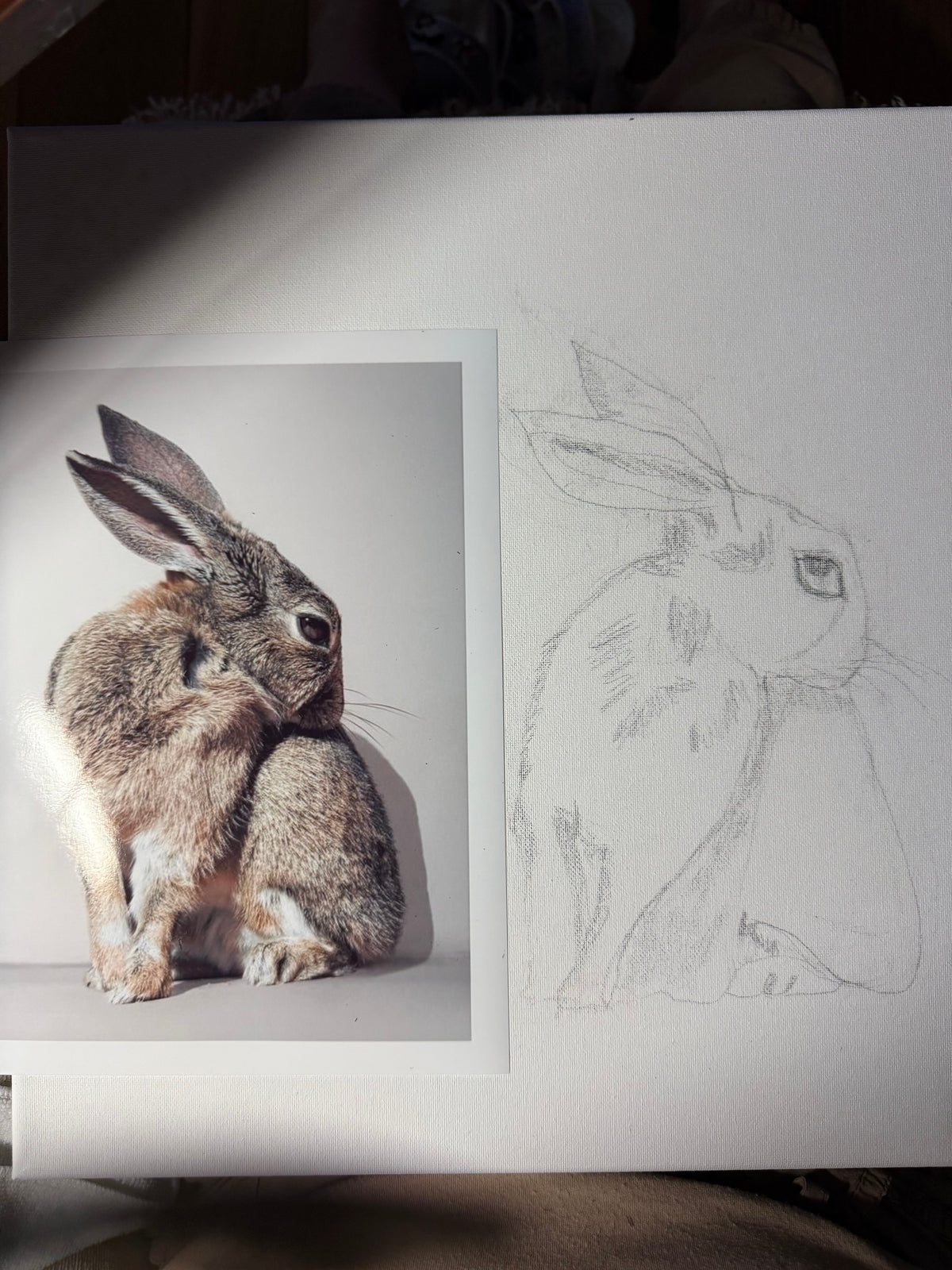 The Dreaming Hare