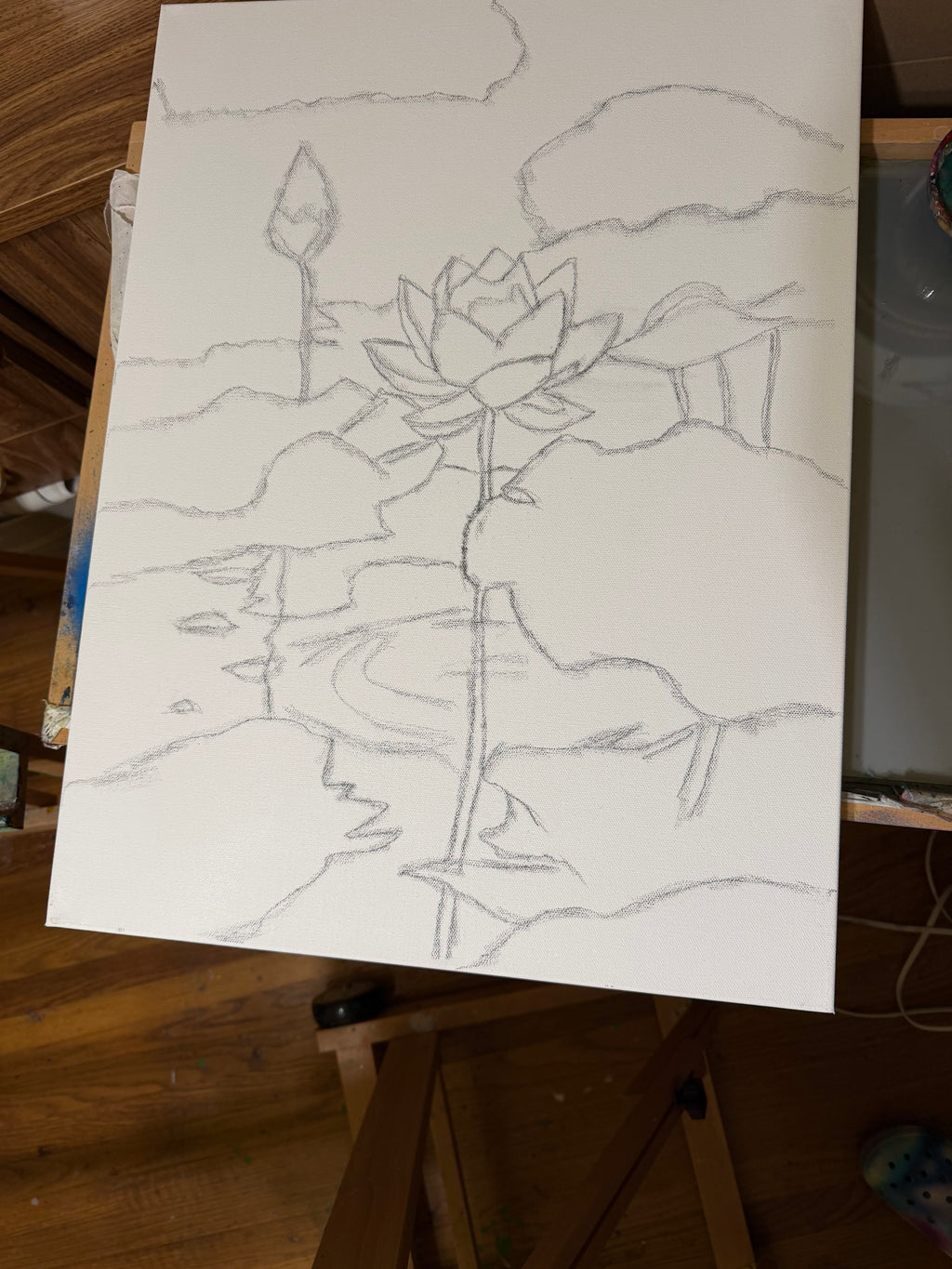 Where the Lotus Grows